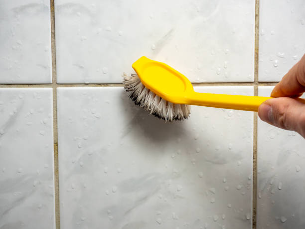 Best Mold Testing  in East Cleveland, OH