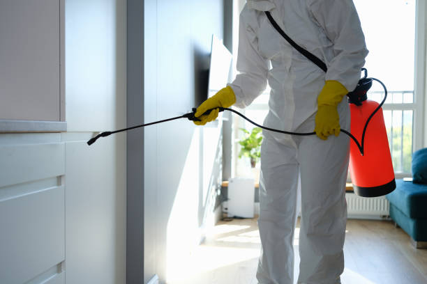 Best Commercial Mold Removal  in East Cleveland, OH